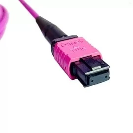 03.webp